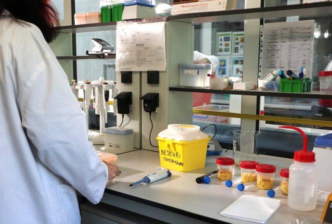De la câmp la laborator: cum sunt verificate reziduurile de pesticide din alimente