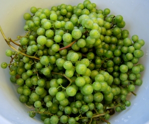 Ciorba de pui cu agurida