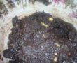 Choco cookies Husanu-3