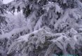 Hai hui prin Maramures (2)-0