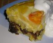 Mamaliguta imbunatatita si etajata-5
