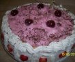 Tort Larissa-8
