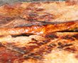 File de vita a la grill,cu garnitura de ciuperci si masline-1