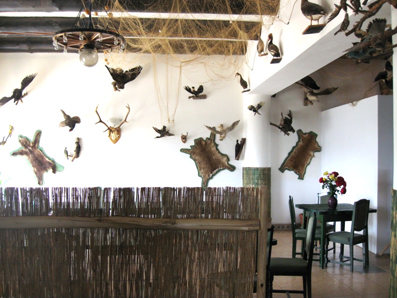 Complexul Turistic Lunca/Delta Dunarii