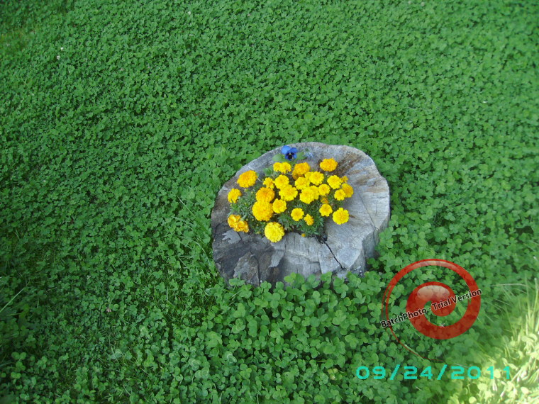 Week-end de toamnă în Maramureş