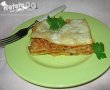 Lasagna alla bolognese-6