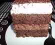 Prajitura cu ciocolata-0