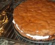 Tort Sacher (imbunatatit)-0