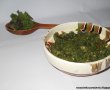 Tocanita de urzici-0