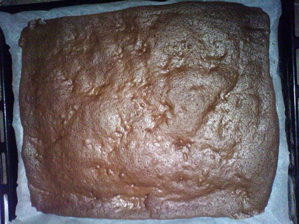 Prăjitură cu cremă ganache