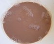 Smoothie ciocolatos-0