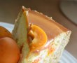 Tort cu caise, branza si caramel-3