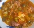 Mancarica de legume-1