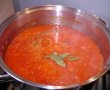 Ketchup Panacris-5