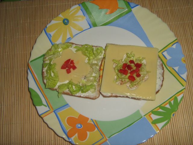 Sandvis 