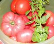 Ketchup de casa-2