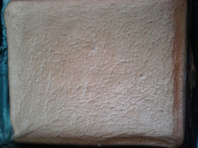 Tort cu nuca, alune si fistic