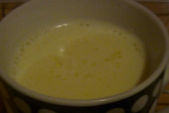 Şodou