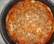 Pizza cu ton-7
