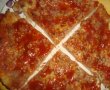 Pizza cu ton-9