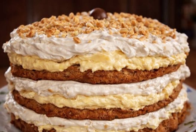 Desert tort Egiptean