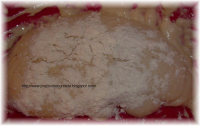 Branzoaice moldovenesti