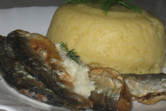 Baby Hering cu mamaliguta si mujdei de usturoi