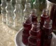 Sirop de capsuni-9
