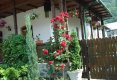 Pelerinaj la manastirea Lainici, un loc binecuvantat de Dumnezeu-2