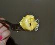 Tortellini pe graba-0