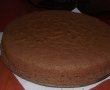Tort de ciocolata si frisca-0