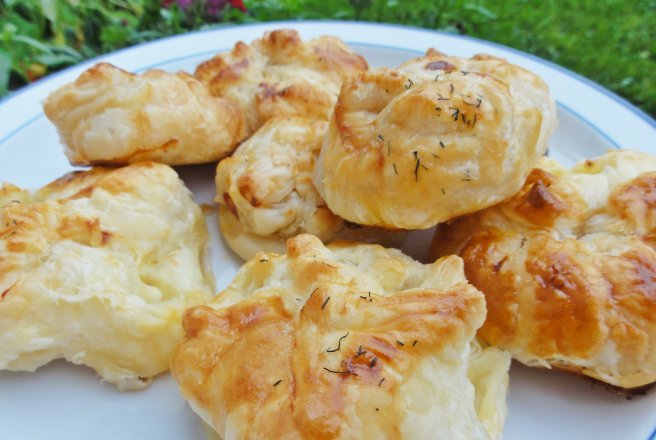 Traistute cu piept de pui