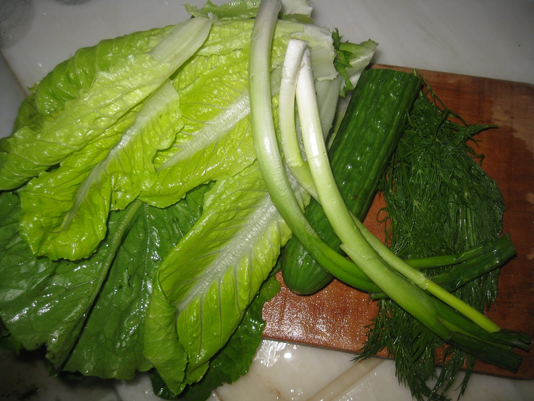 Salata verde