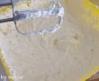 tarta ruseasca cu branza si ciocolata-1