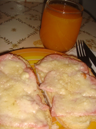 Sandwich cald cu parmezan si sunca de praga!