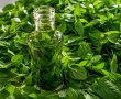 Extract de menta-7