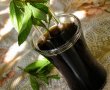 Extract de menta-9