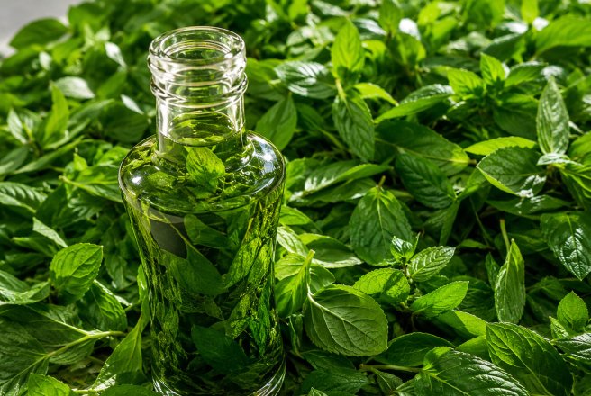 Extract de menta