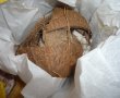 Salata de primavara cu cocos si rodie-5