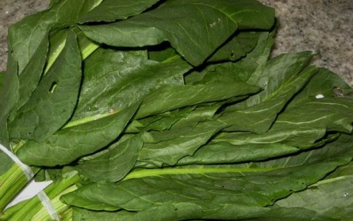 Verdeturi de primavara - Stevia
