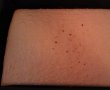 Prajitura cu crema de lamaie-1