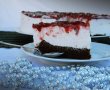 Cheesecake la rece-8