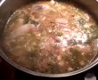 Ciorba cu carne de pasare-1