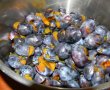 Silvoita de prune ( fara  zahar )-4
