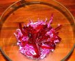 Salata de iarna-2