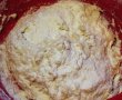 Paine rapida (fara framantare)-0