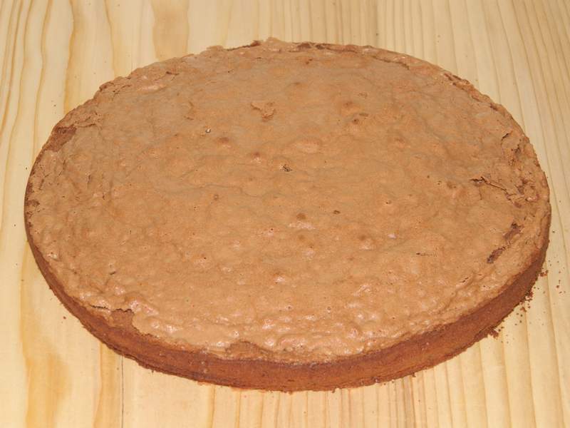 Tort mascota