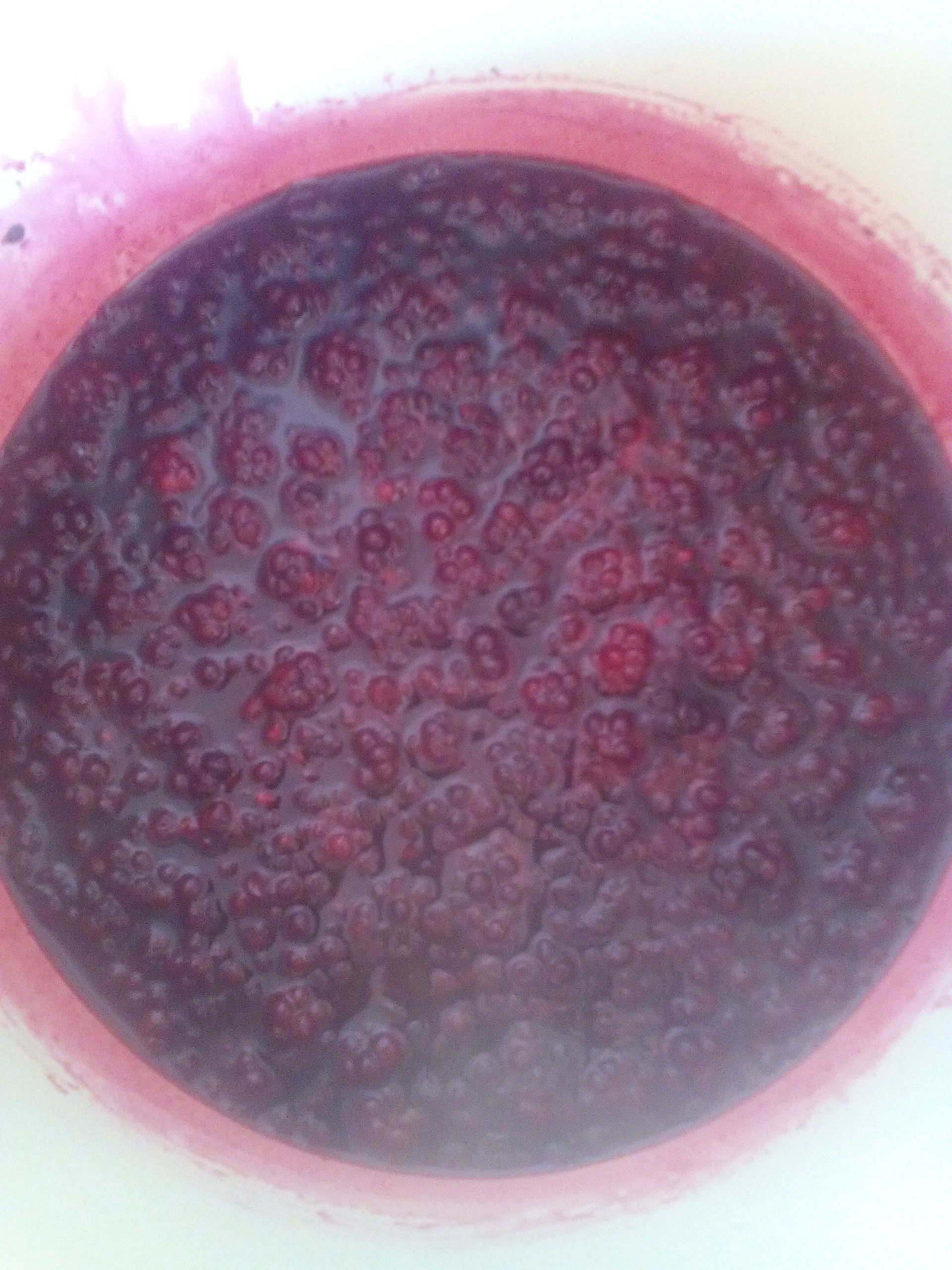 Bavareza de mure