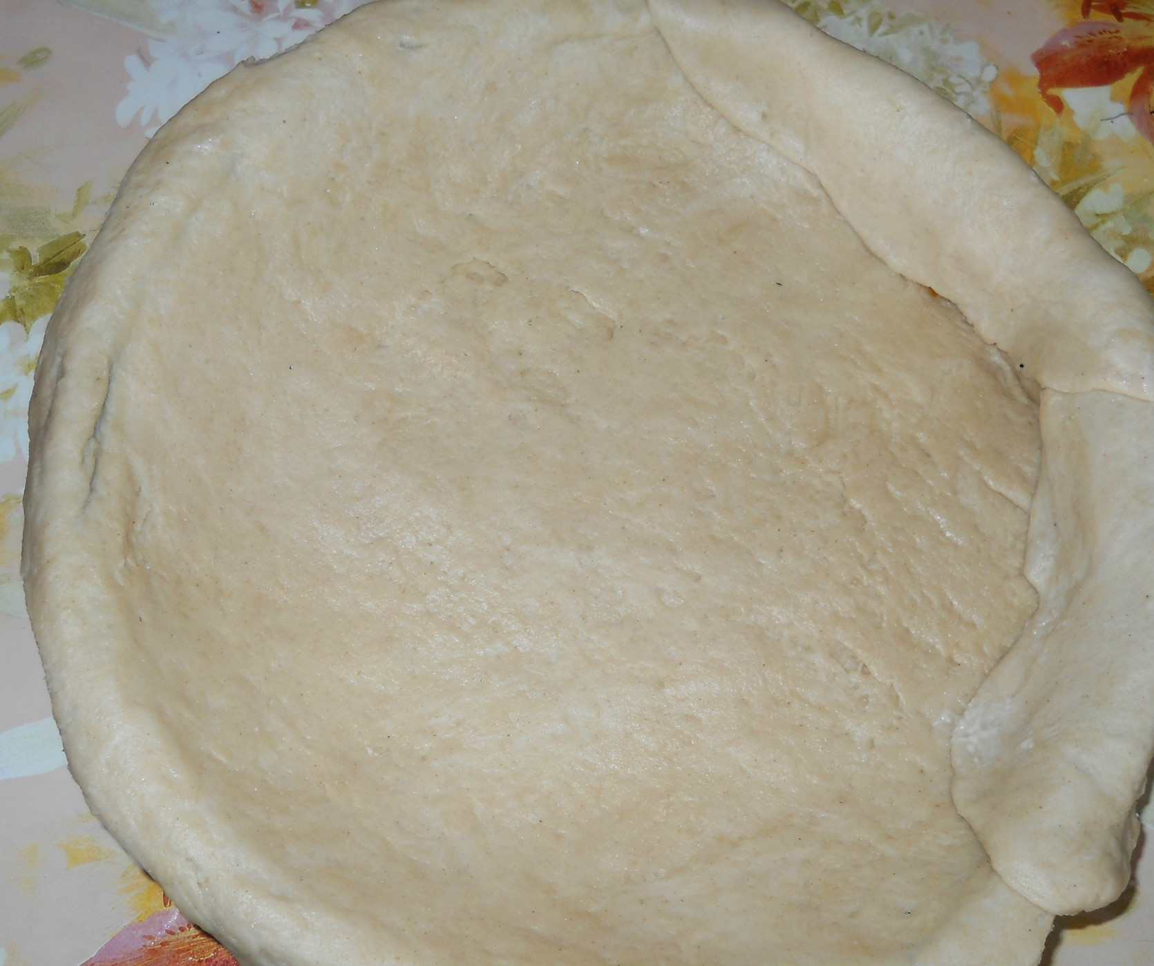 Mancarica de ciuperci sub capac de paine