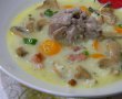 Supa de crap cu ciuperci si smantana-13